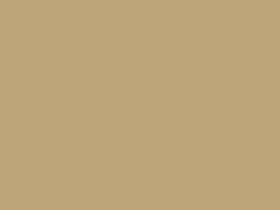 zoom colori COTON GRATTE EXPO M1 abricot, beige